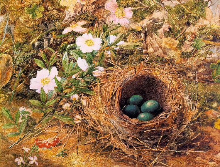Hill, John William Bird's Nest and Dogroses